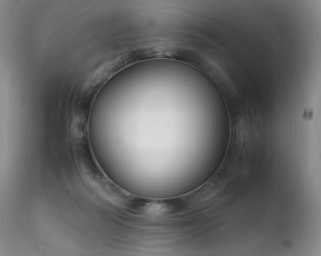 X0000111210218200907011453