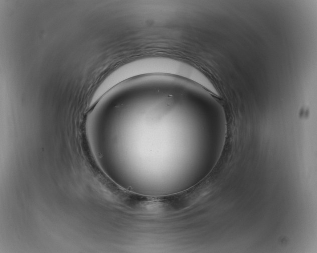 X0000111210219200907011453