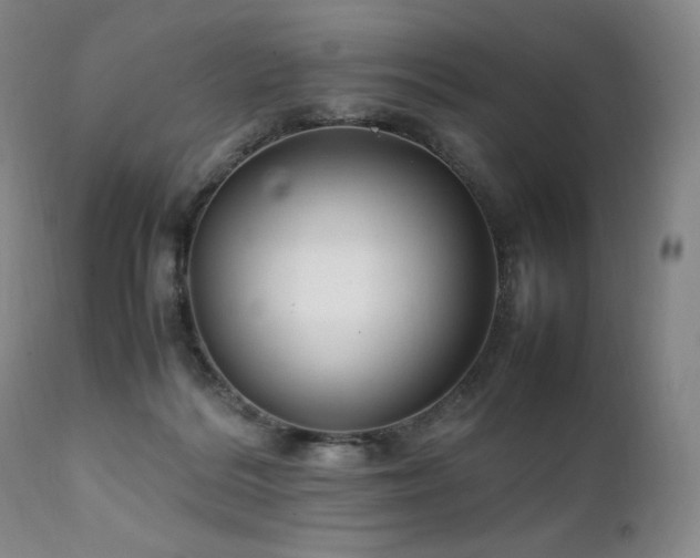 X0000111210220200907011453