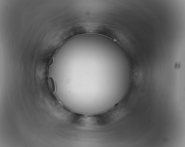 X0000111210221200907011453