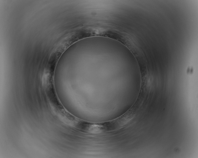 X0000111210222200907011453