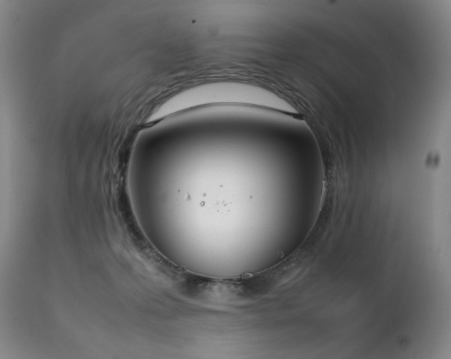 X0000111210223200907011453