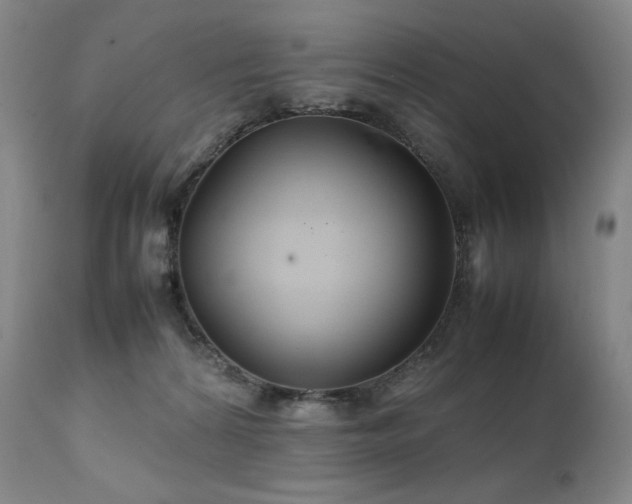 X0000111210224200907011453