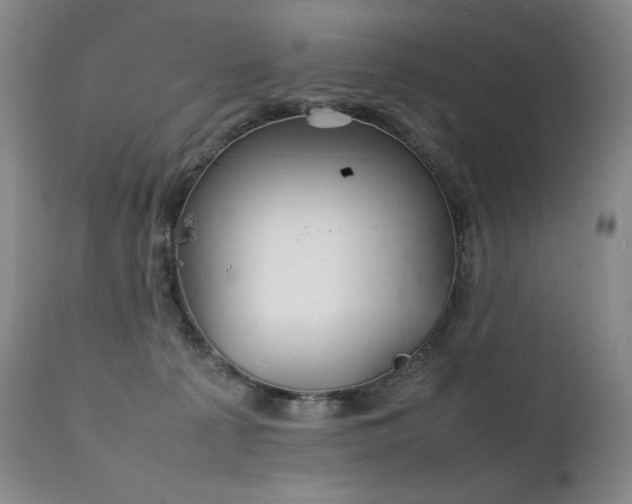 X0000111210225200907011453