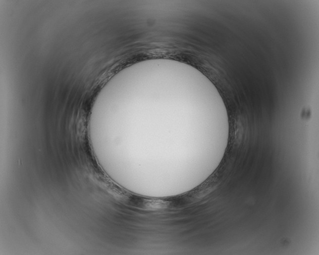 X0000111210226200907011453