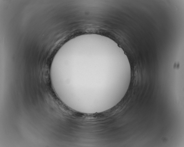 X0000111210228200907011453