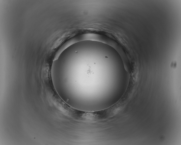 X0000111210231200907011453