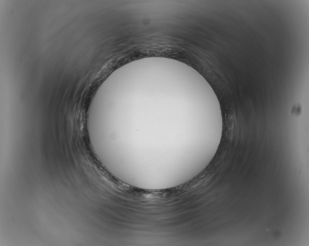 X0000111210232200907011453