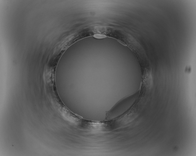 X0000111210233200907011453