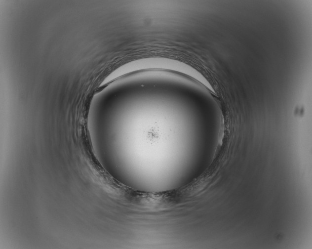 X0000111210235200907011453