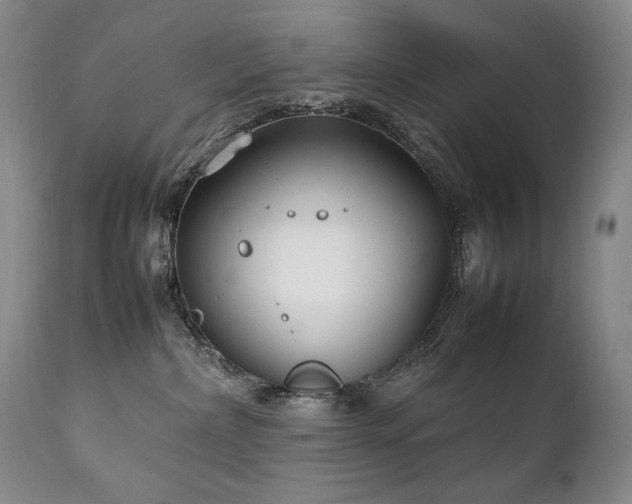 X0000111210236200907011453