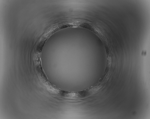 X0000111210237200907011453