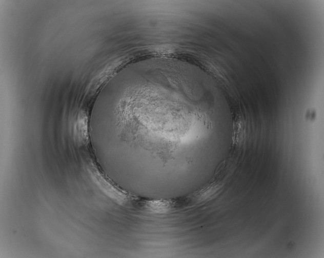 X0000111210238200907011453