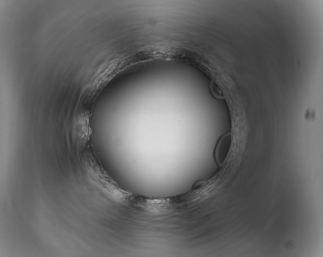 X0000111210240200907011453