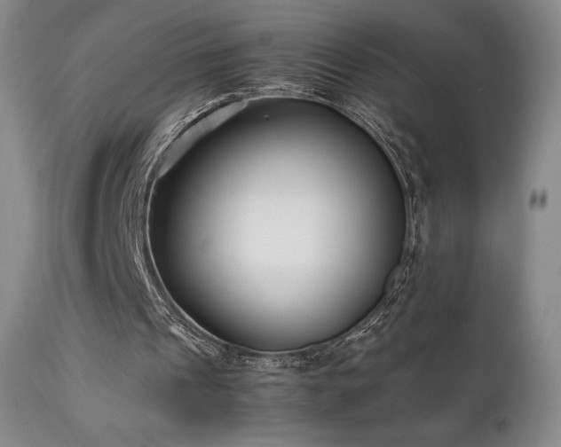 X0000111210241200907011452