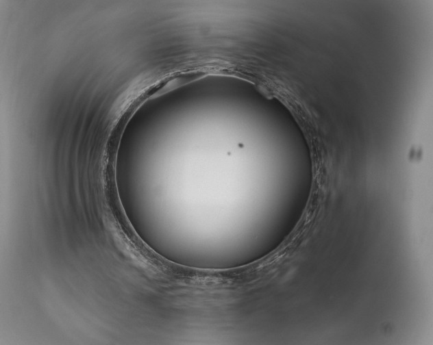 X0000111210242200907011452