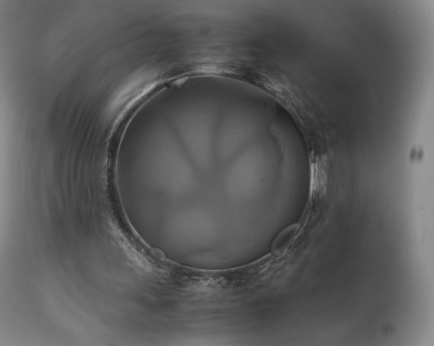 X0000111210243200907011452