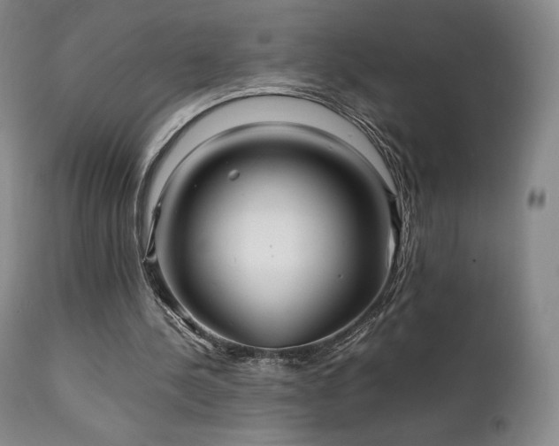 X0000111210244200907011452