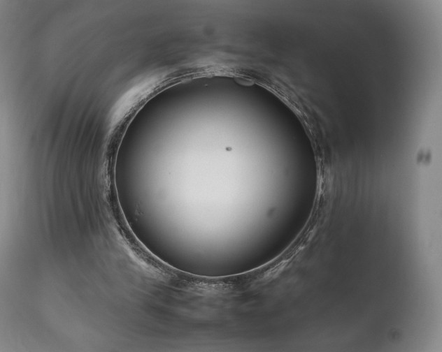 X0000111210245200907011452