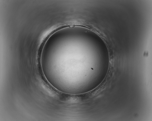 X0000111210248200907011452