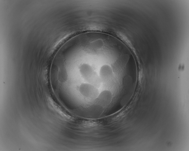 X0000111210249200907011452