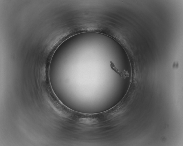 X0000111210251200907011452