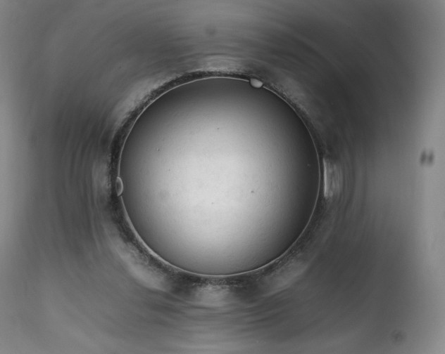 X0000111210252200907011452