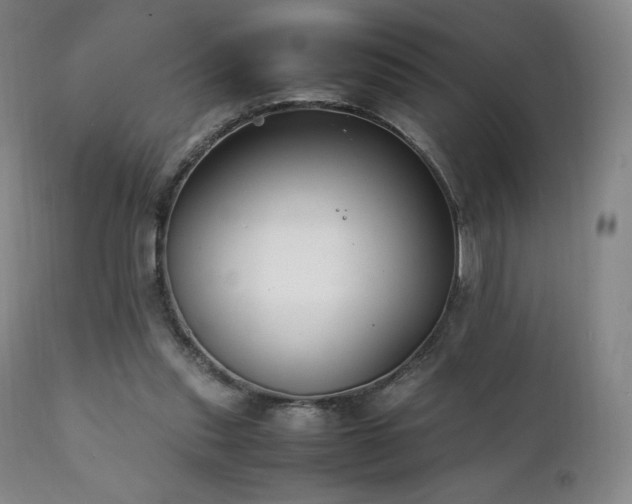 X0000111210253200907011452