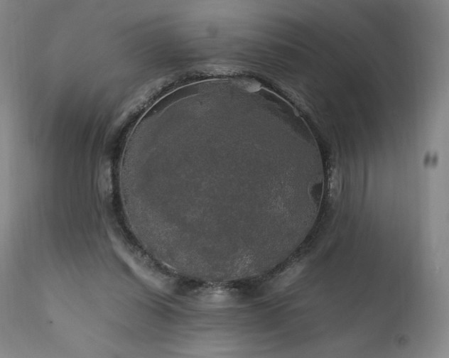 X0000111210254200907011452