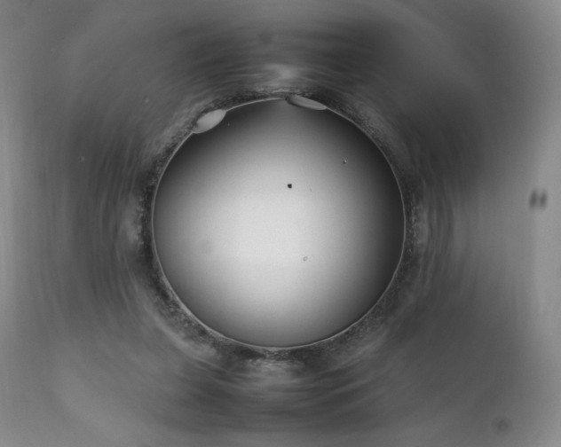 X0000111210255200907011452