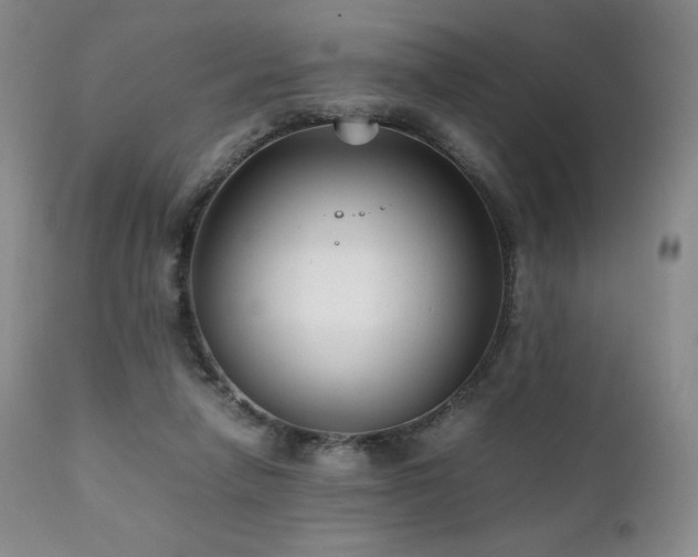 X0000111210258200907011452