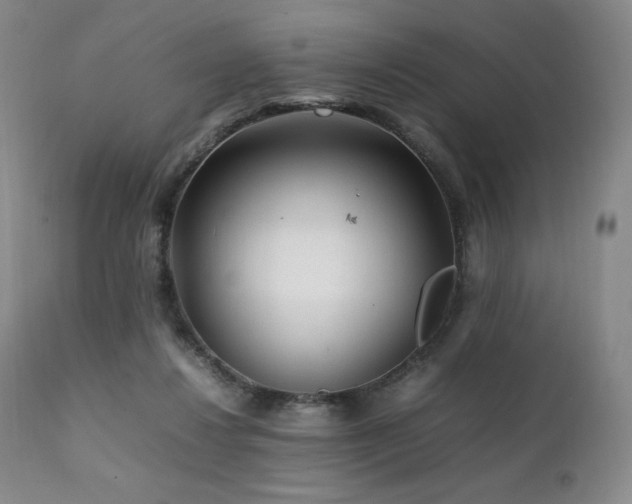 X0000111210260200907011452