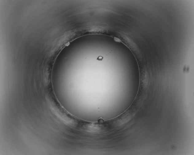 X0000111210261200907011452