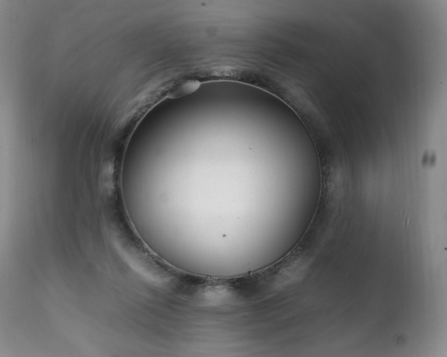 X0000111210262200907011452