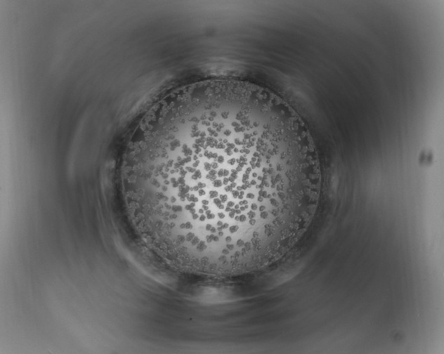 X0000111210263200907011452