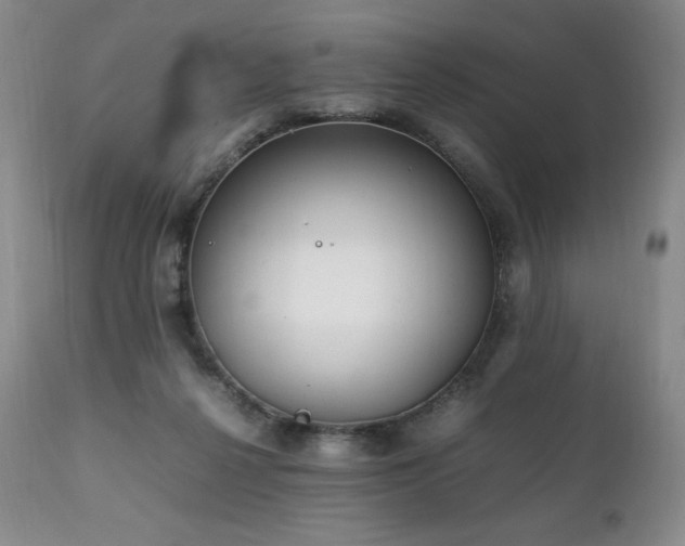 X0000111210264200907011452