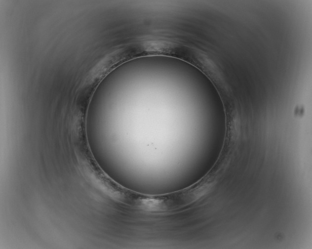 X0000111210265200907011452