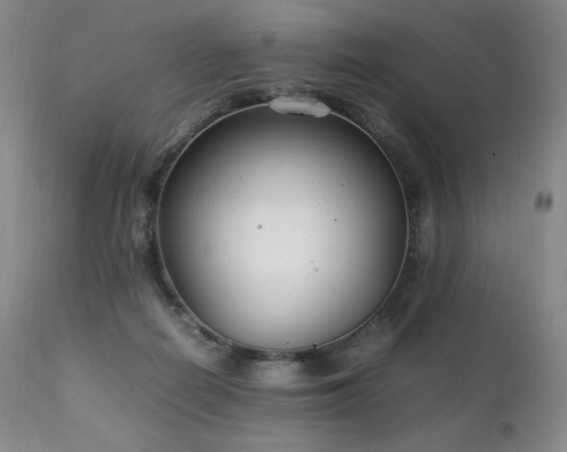 X0000111210266200907011452