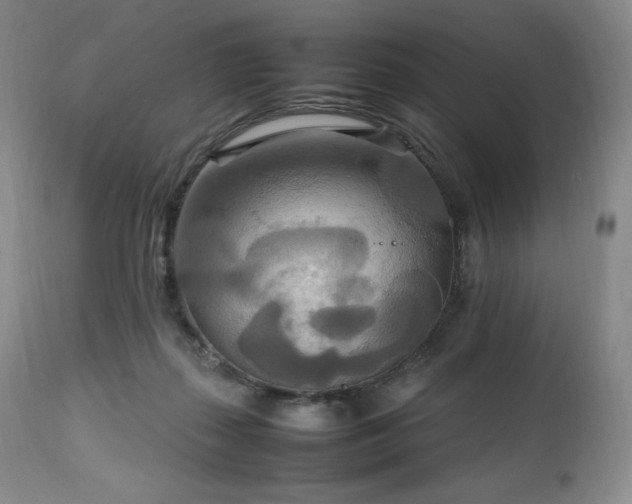 X0000111210267200907011452