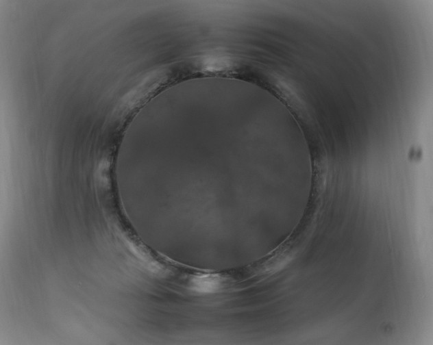 X0000111210269200907011452