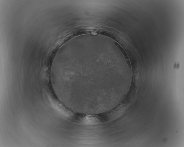 X0000111210270200907011452