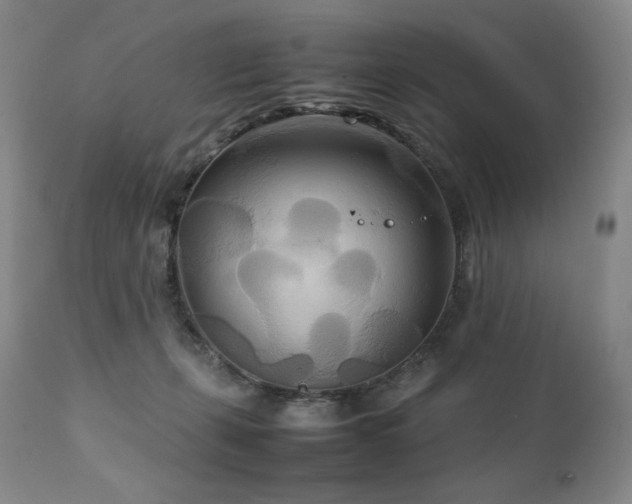 X0000111210271200907011452