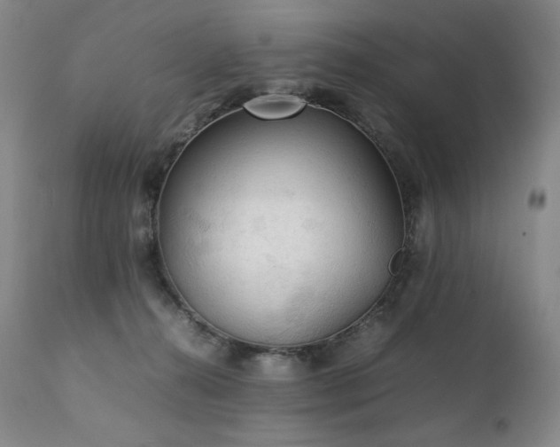 X0000111210272200907011452