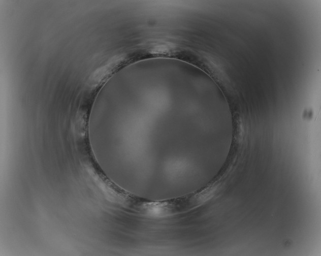 X0000111210273200907011452