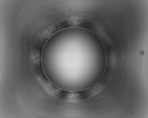 X0000111210274200907011452