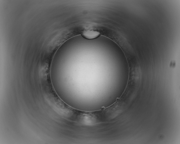 X0000111210275200907011452