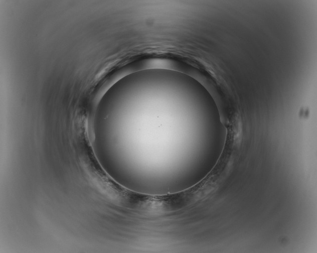 X0000111210276200907011452