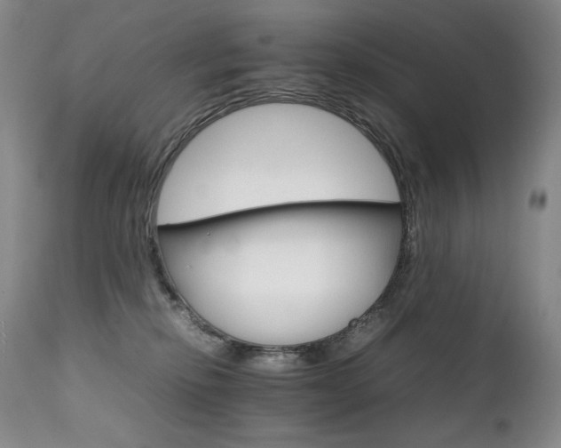 X0000111210278200907011452