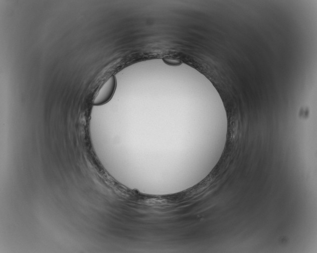 X0000111210279200907011452