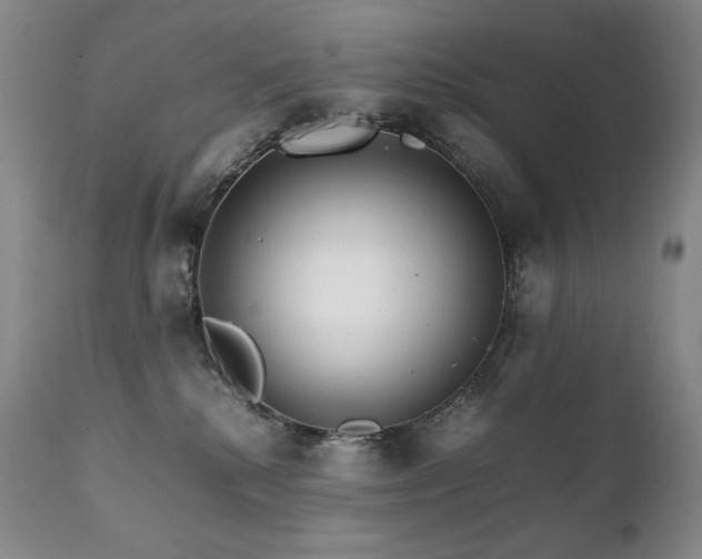 X0000111210280200907011452